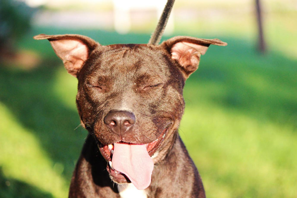 來自社交媒體的圖片如何幫你在網(wǎng)絡(luò)上脫穎而出 來自社交媒體的圖片如何幫你在網(wǎng)絡(luò)上脫穎而出