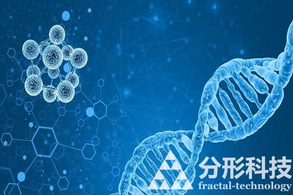 醫(yī)院網(wǎng)站建設(shè)的功能如何提升患者體驗